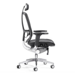 【Discontinued】Forevo XF Ergonomic Mesh Chair